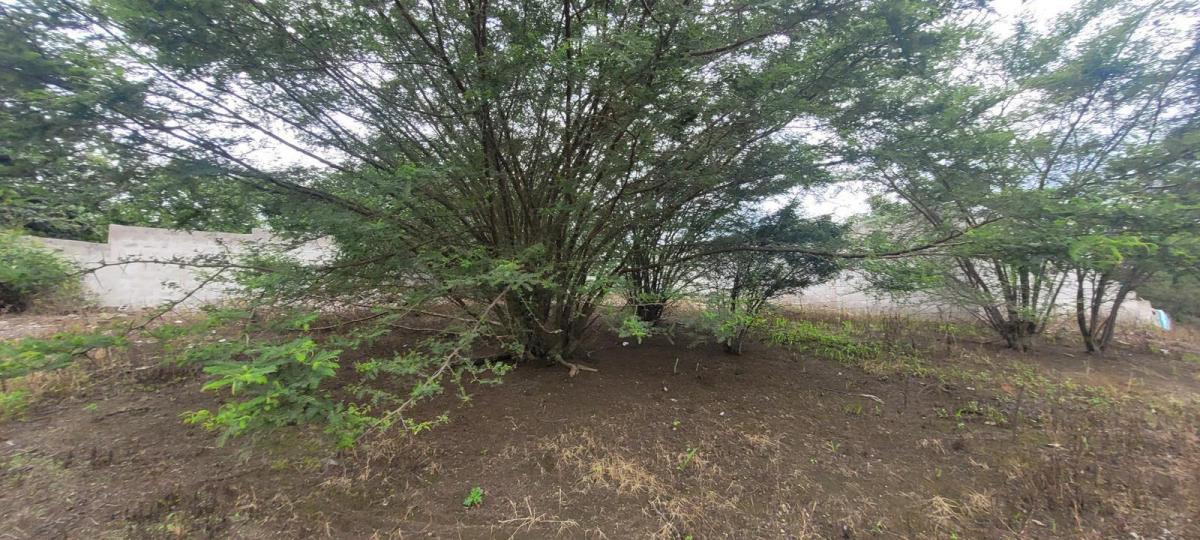 Venta Terreno Nayon Tanda 2.300 m² — imagen 4