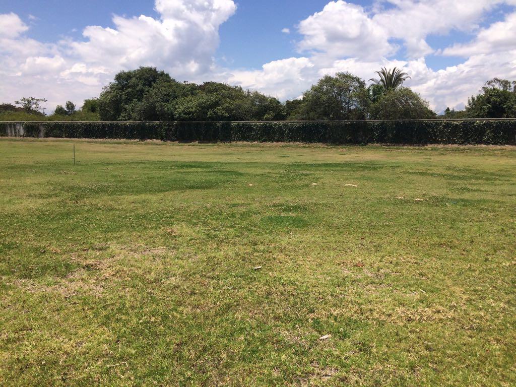 Terreno Totalmente Plano Ubicado Dentro de Exclusiva Urbanización Sector Parque Puembo — imagen 4