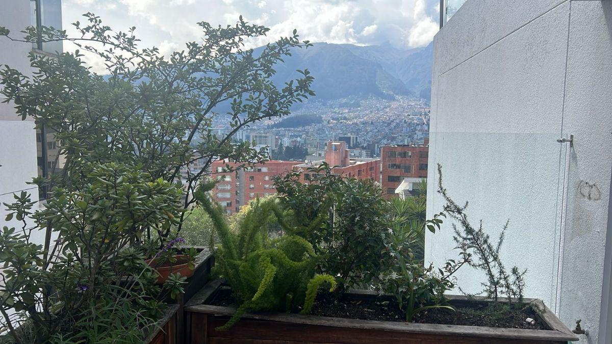 Vendo Departamento con Terraza - Sector González Suárez — imagen 6