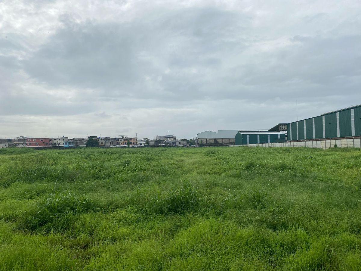 Terreno de 19500 m² en Venta en Mapasingue a Pocos m de La Via a Daule, Guayas — imagen 6