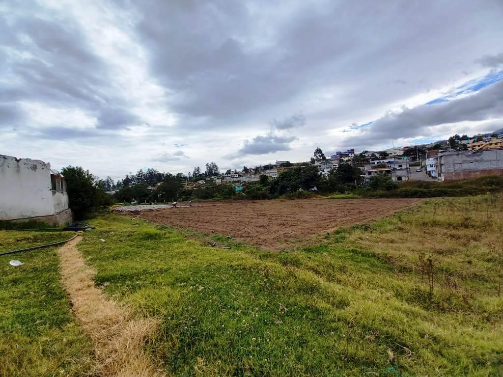 Terreno en Venta 2.2 Hectáreas en Yaruquí — imagen 10