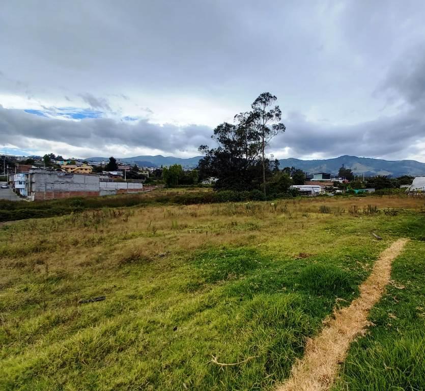 Terreno en Venta 2.2 Hectáreas en Yaruquí — imagen 9
