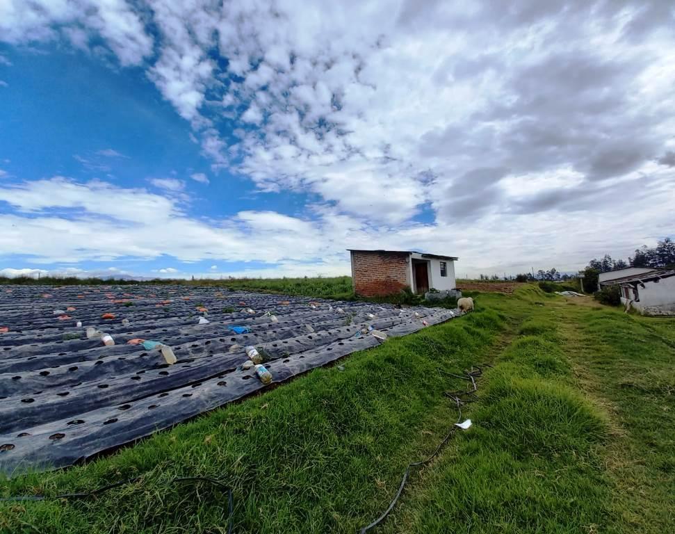 Terreno en Venta 2.2 Hectáreas en Yaruquí — imagen 6