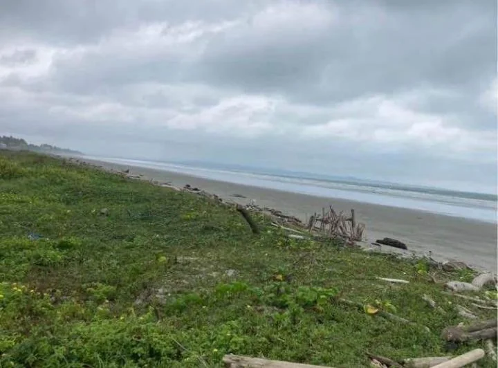 Venta Terreno en La Playa Muisne Esmeraldas, 3.5 Ha, P. C. Provincia de Esmeraldas — imagen 1