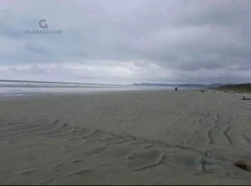 Venta Terreno en La Playa Muisne Esmeraldas, 3.5 Ha, P. C. Provincia de Esmeraldas — imagen 4