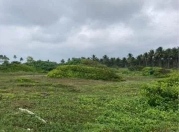 Venta Terreno en La Playa Muisne Esmeraldas, 3.5 Ha, P. C. Provincia de Esmeraldas — imagen 3