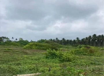 Venta Terreno en La Playa Muisne Esmeraldas, 3.5 Ha, P. C. Provincia de Esmeraldas — imagen 2