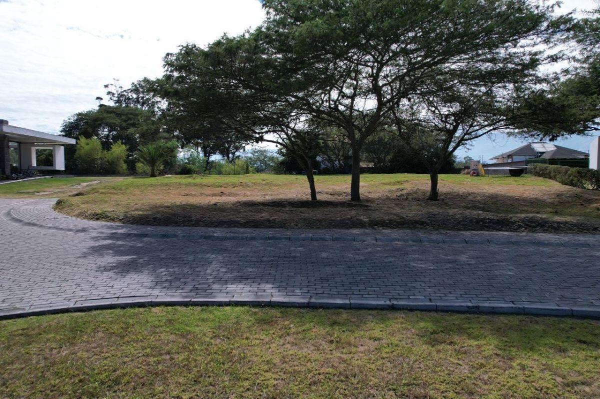 Vendo Terreno en Hilacril 1138 m² — imagen 5