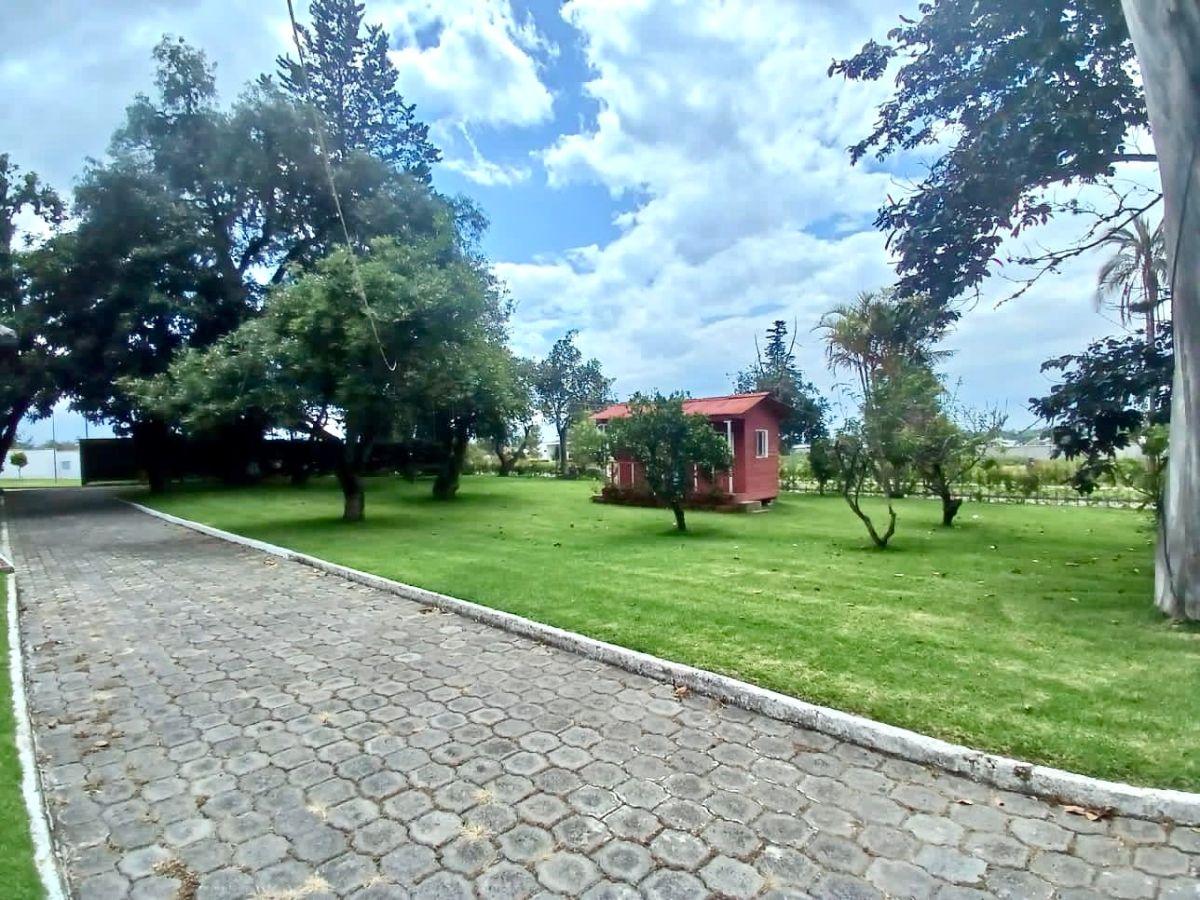 Puembo – Sector Arrayanes | Vendo Excelente Propiedad de 600 m² de Construcción en 4.800 m² de Terreno — imagen 8
