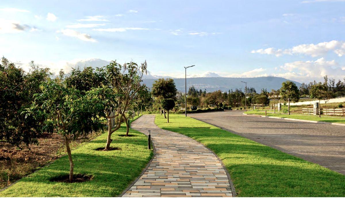 Puembo – Sector Arrayanes | Vendo Excelente Propiedad de 600 m² de Construcción en 4.800 m² de Terreno — imagen 2
