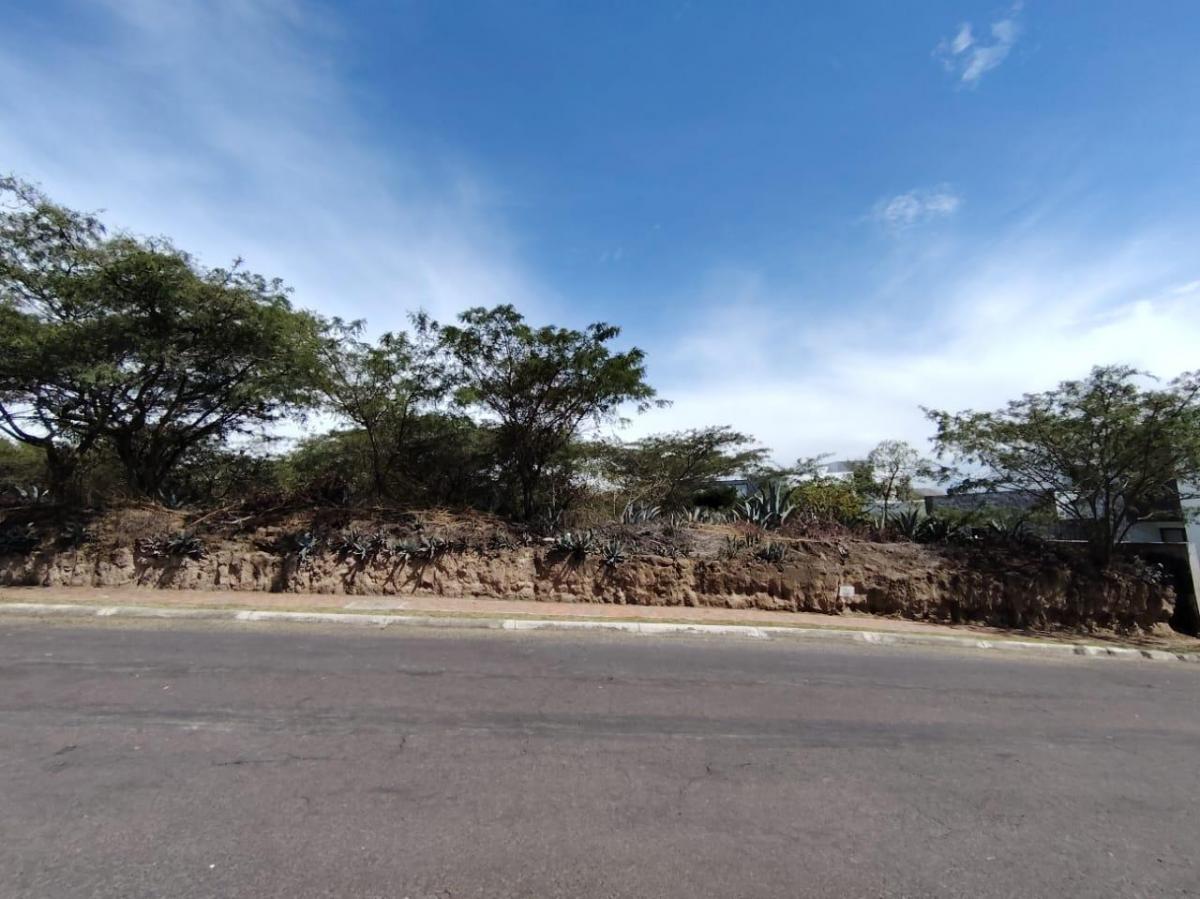 Vendo Terreno / Lote en Venta, Arrayanes, Urb. El Ingenio, Puembo — imagen 8
