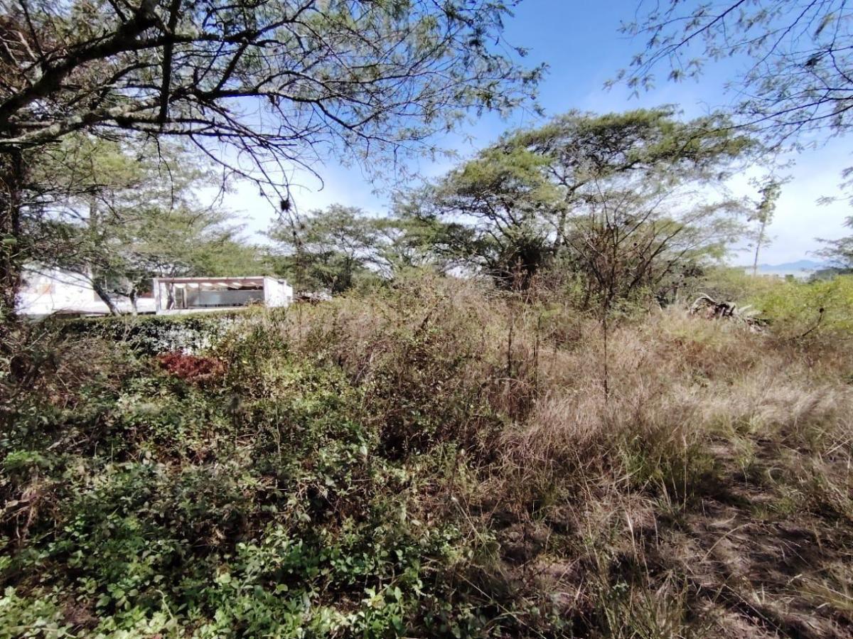 Vendo Terreno / Lote en Venta, Arrayanes, Urb. El Ingenio, Puembo — imagen 7