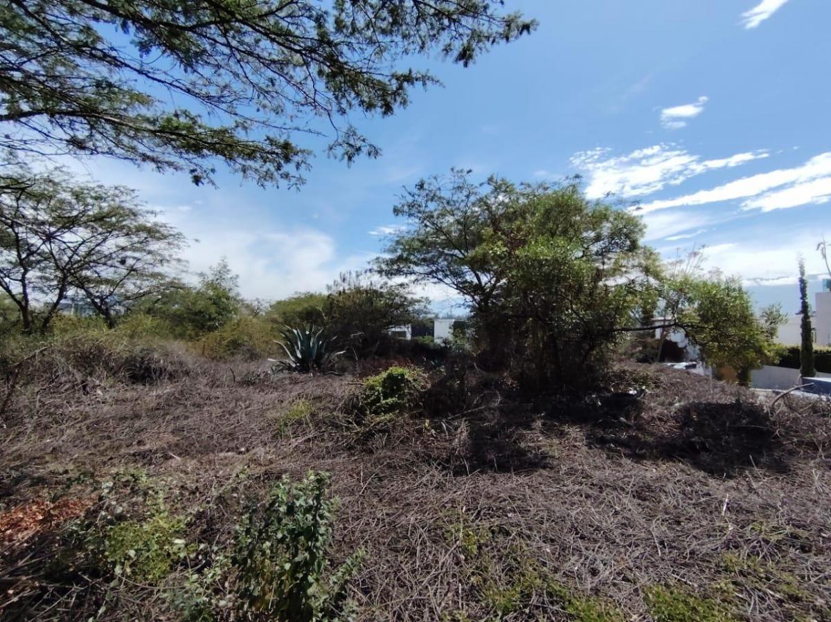 Vendo Terreno / Lote en Venta, Arrayanes, Urb. El Ingenio, Puembo — imagen 6