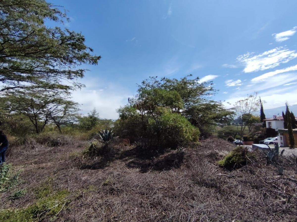 Vendo Terreno / Lote en Venta, Arrayanes, Urb. El Ingenio, Puembo — imagen 2