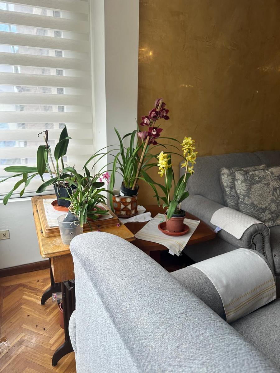 Se Vende Departamento Al Frente del Condado Shopping — imagen 2
