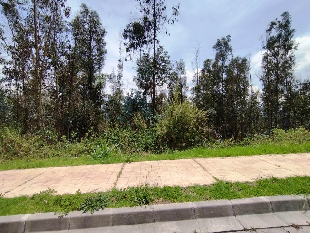 Terreno de 2.270 m² en Venta Sector Uide — imagen 10