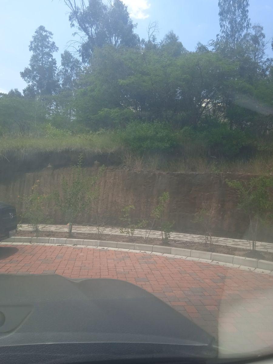 Hermoso Terreno en Urbanización de Lujo — imagen 7