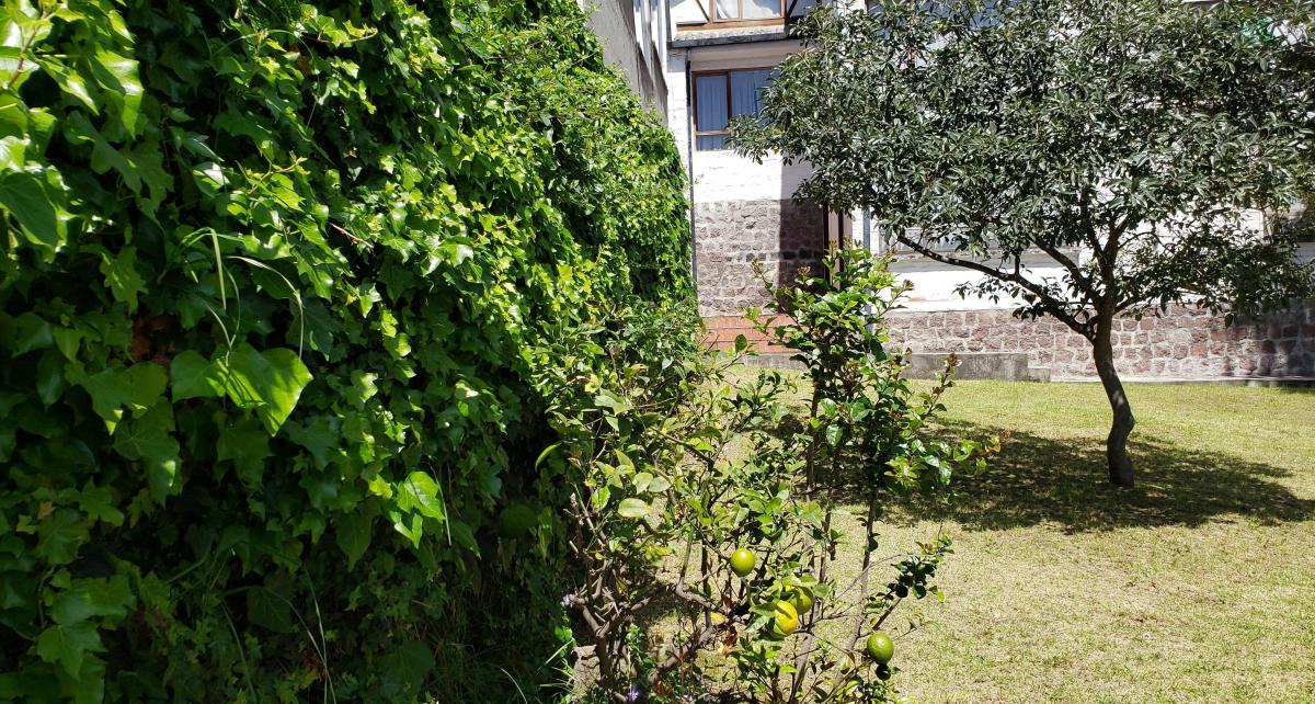 Venta Terreno Quito Tenis Amplio 487 m — imagen 2