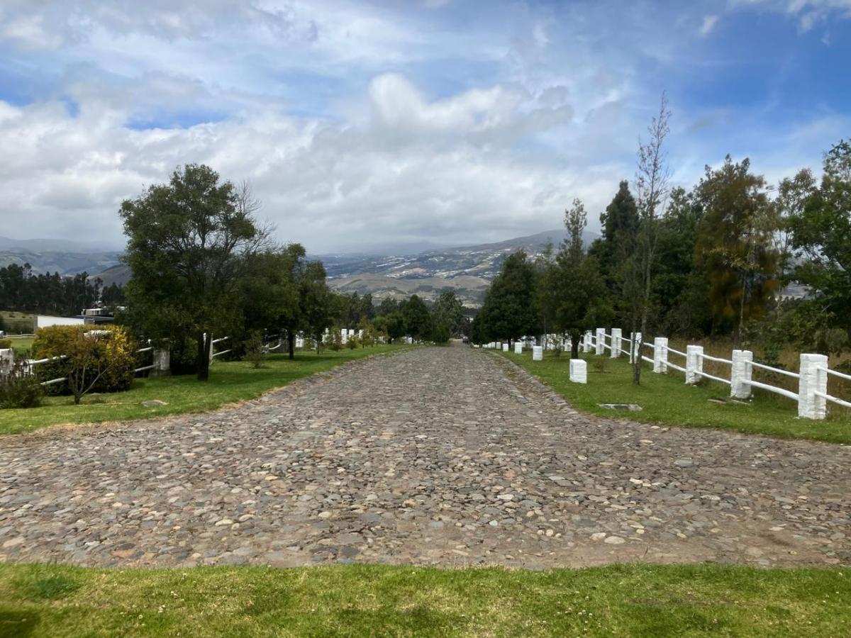 Terreno de Venta en Tabacundo Via a La Laguna de Mojanda con Vista Al Cayambe Dentro de Urbanización — imagen 9