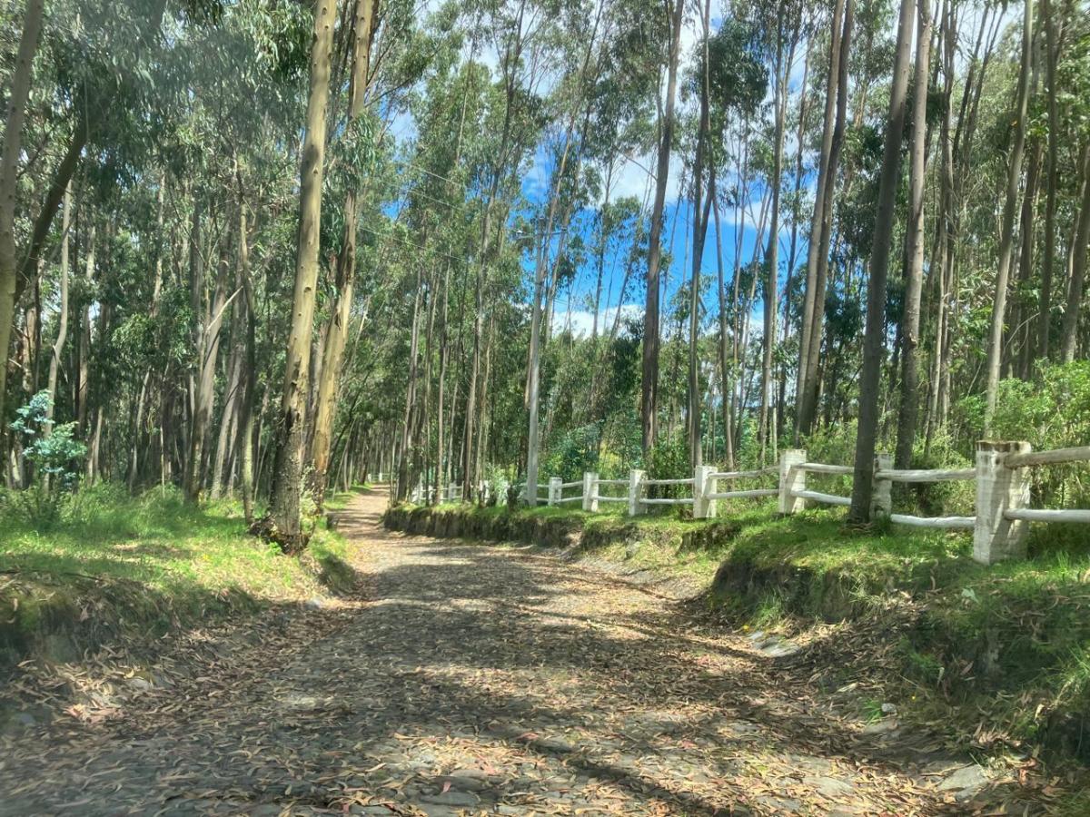 Terreno de Venta en Tabacundo Via a La Laguna de Mojanda con Vista Al Cayambe Dentro de Urbanización — imagen 8