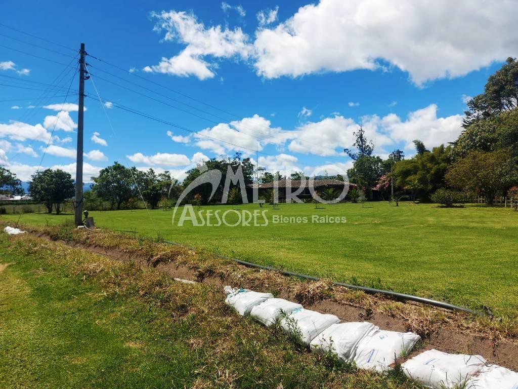 Terrenos de Venta 2.250 m² en Puembo — imagen 8
