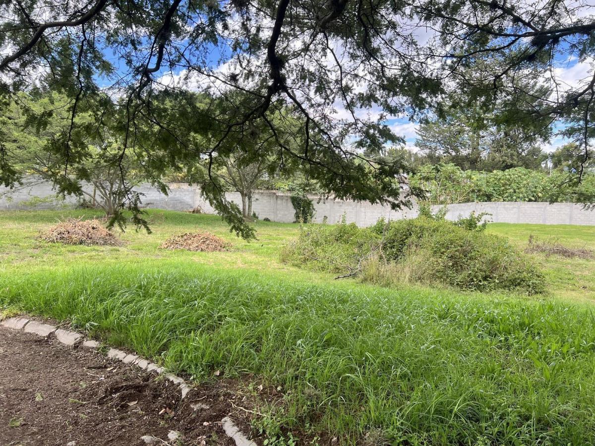 Terreno de Venta Ubicado Dentro de Urbanización Cerrada Sector La Guardia — imagen 4