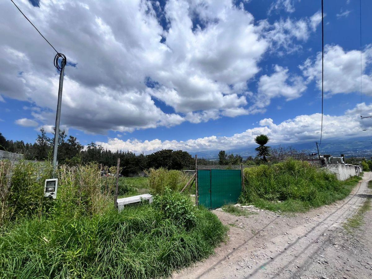 Terreno en Venta Tanda Nayón Para Proyecto Inmobiliario — imagen 10