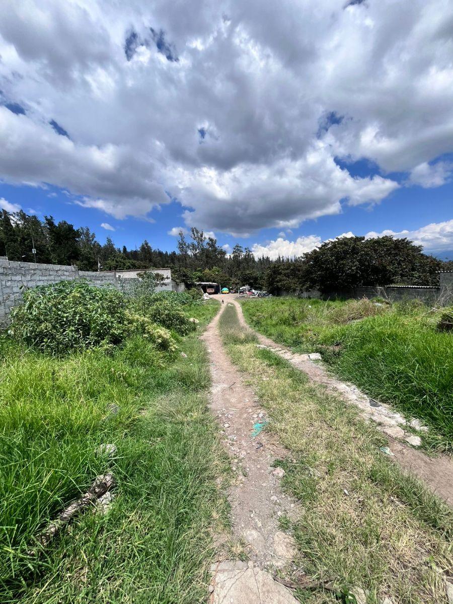 Terreno en Venta Tanda Nayón Para Proyecto Inmobiliario — imagen 9