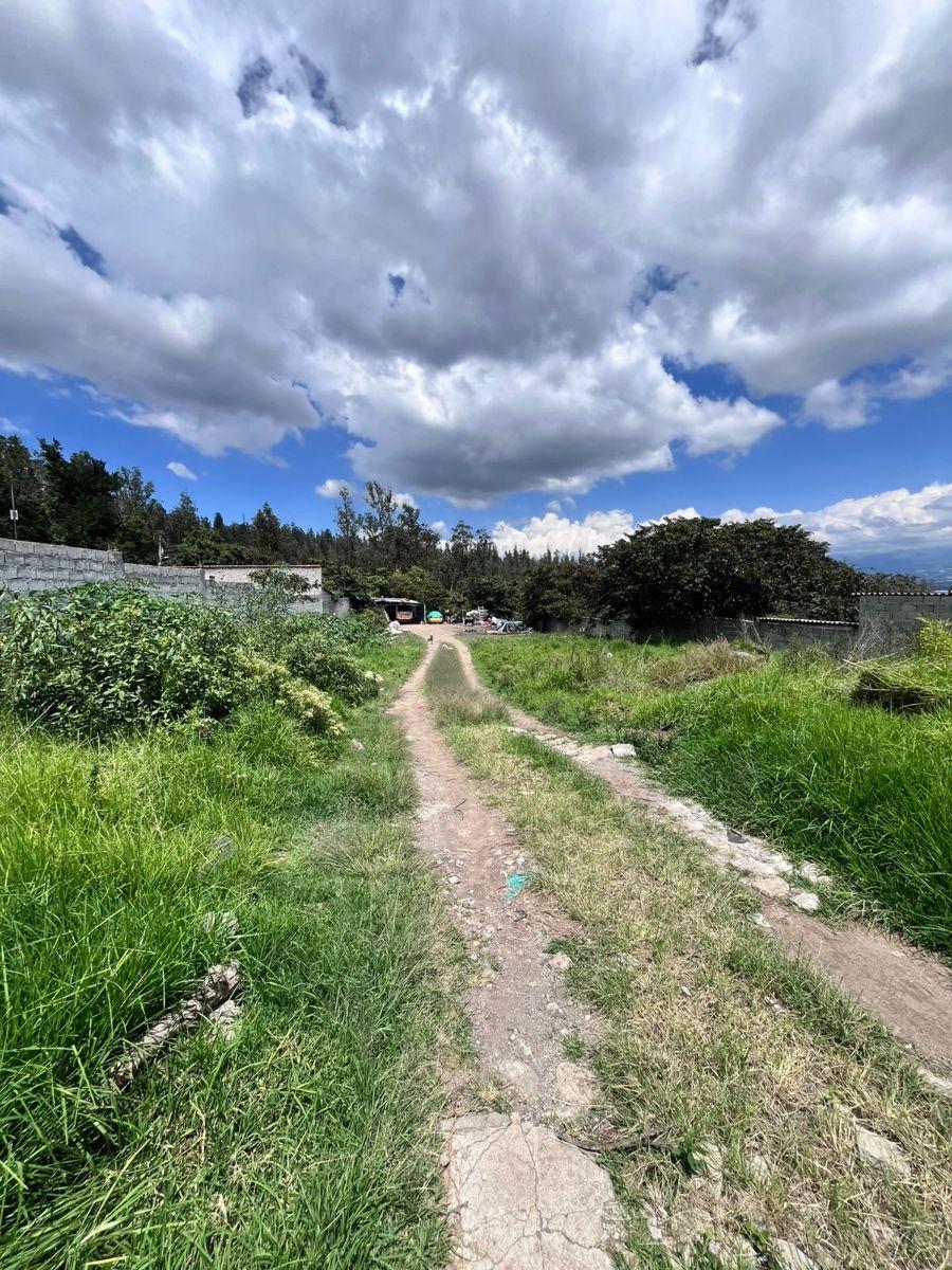 Terreno en Venta Tanda Nayón Para Proyecto Inmobiliario — imagen 7