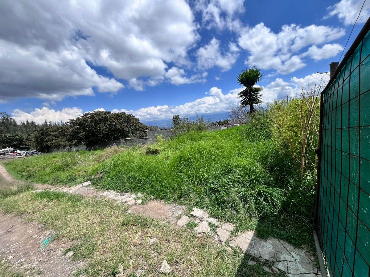 Terreno en Venta Tanda Nayón Para Proyecto Inmobiliario — imagen 6