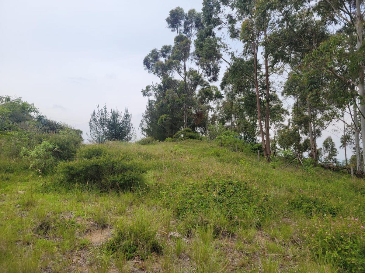 Terreno en Venta con Vista Panoramica Valle de Cumbaya — imagen 10