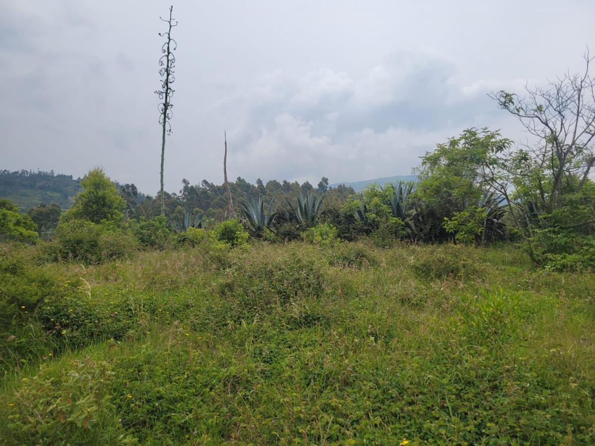 Terreno en Venta con Vista Panoramica Valle de Cumbaya — imagen 9
