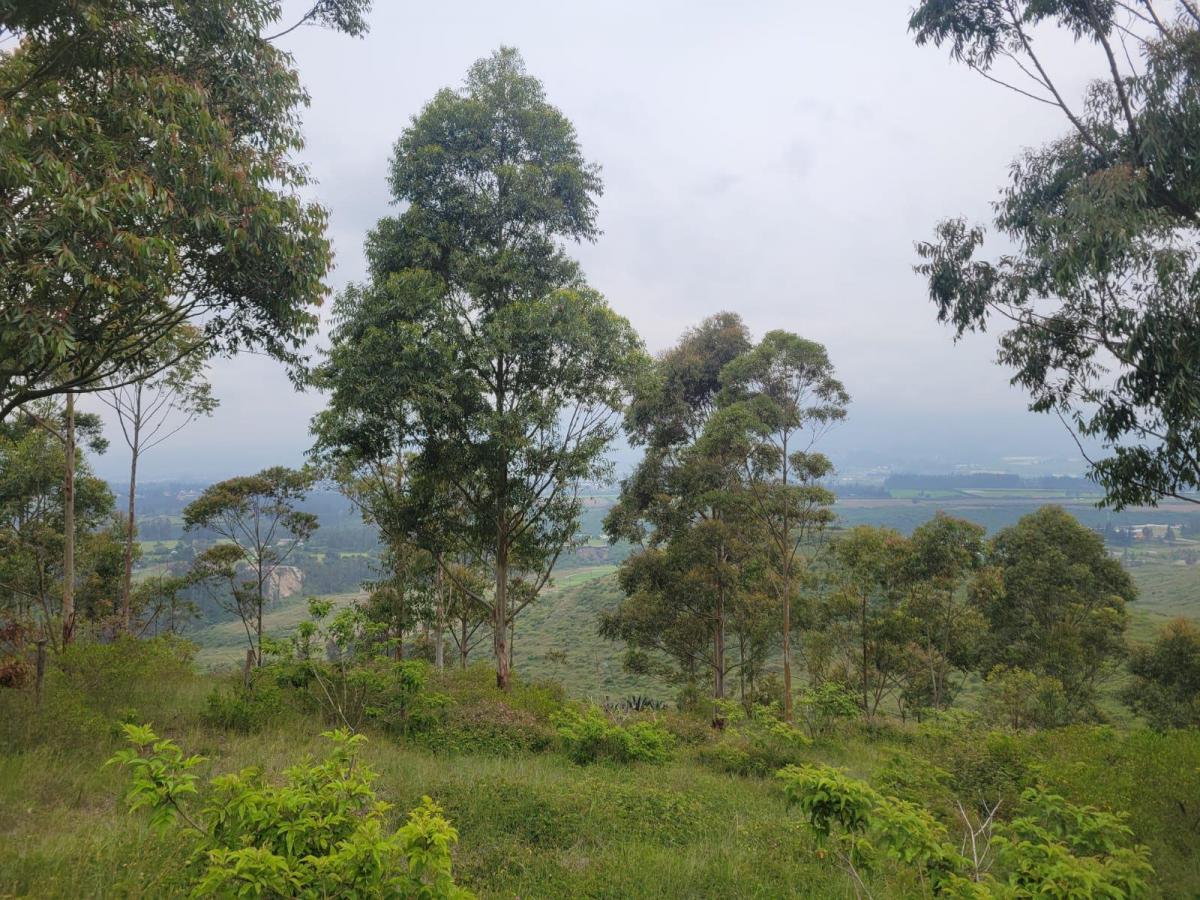 Terreno en Venta con Vista Panoramica Valle de Cumbaya — imagen 8