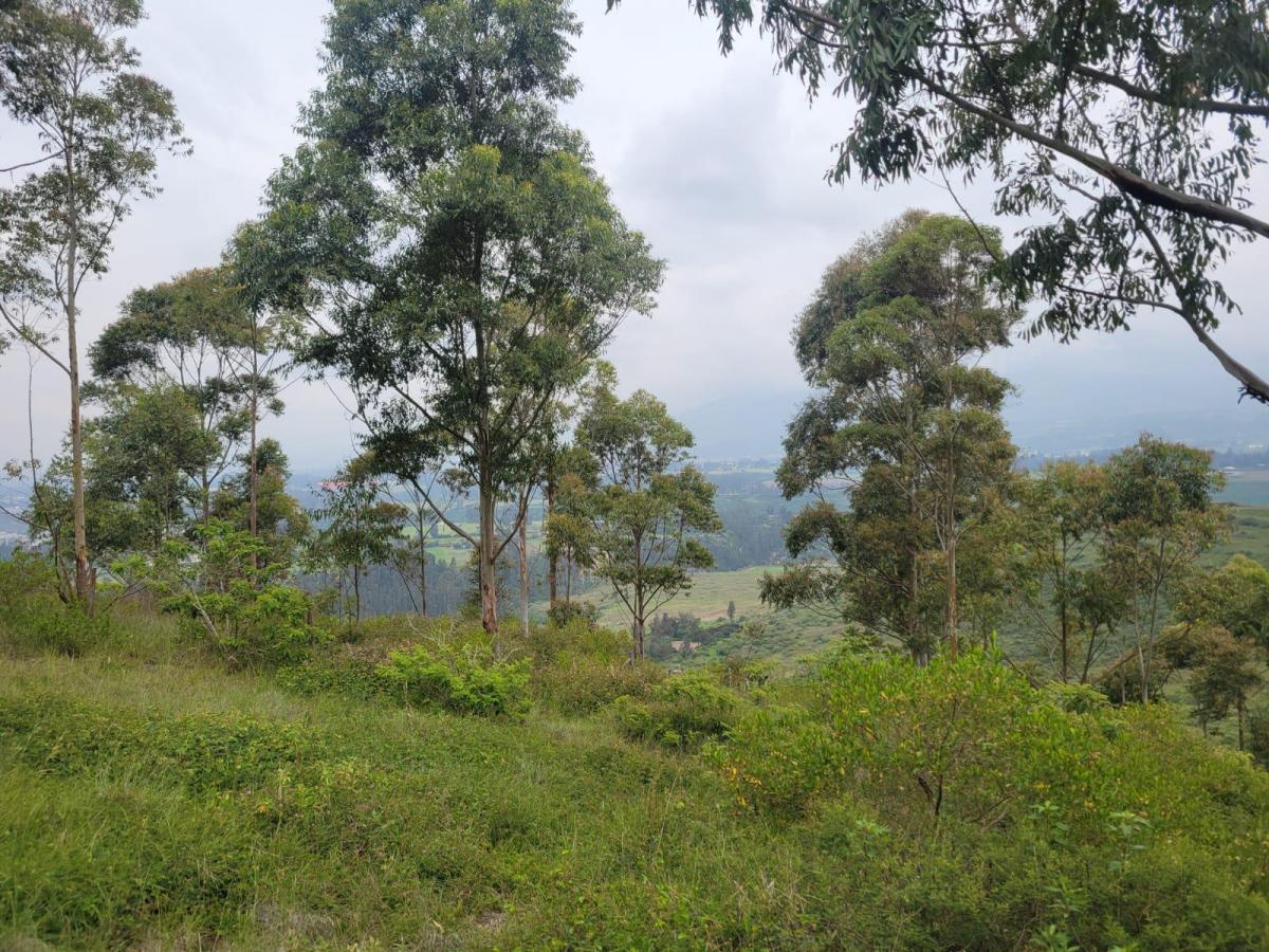 Terreno en Venta con Vista Panoramica Valle de Cumbaya — imagen 7