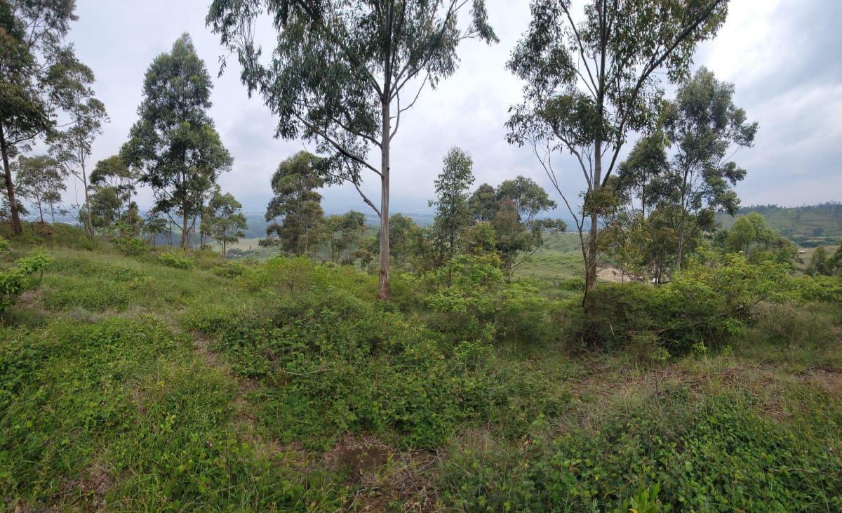 Terreno en Venta con Vista Panoramica Valle de Cumbaya — imagen 5