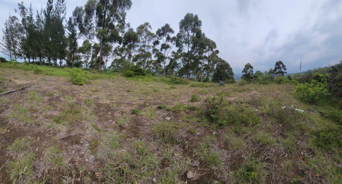 Terreno en Venta con Vista Panoramica Valle de Cumbaya — imagen 3