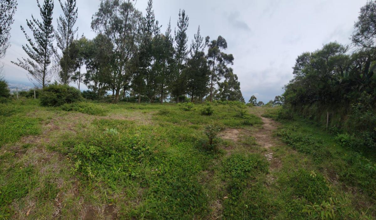 Terreno en Venta con Vista Panoramica Valle de Cumbaya — imagen 2