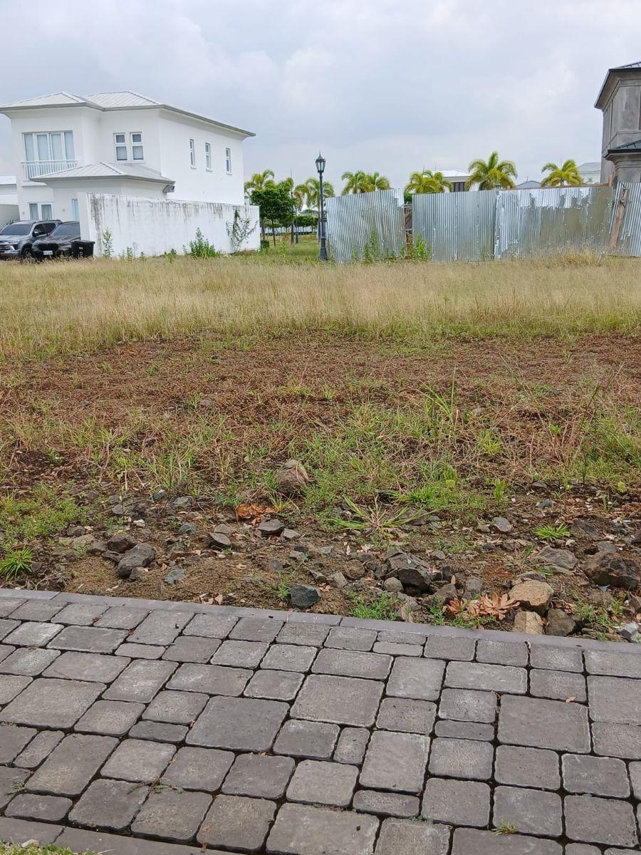 Aires del Norte Lindo Terreno Av Principal, Guayas — imagen 6