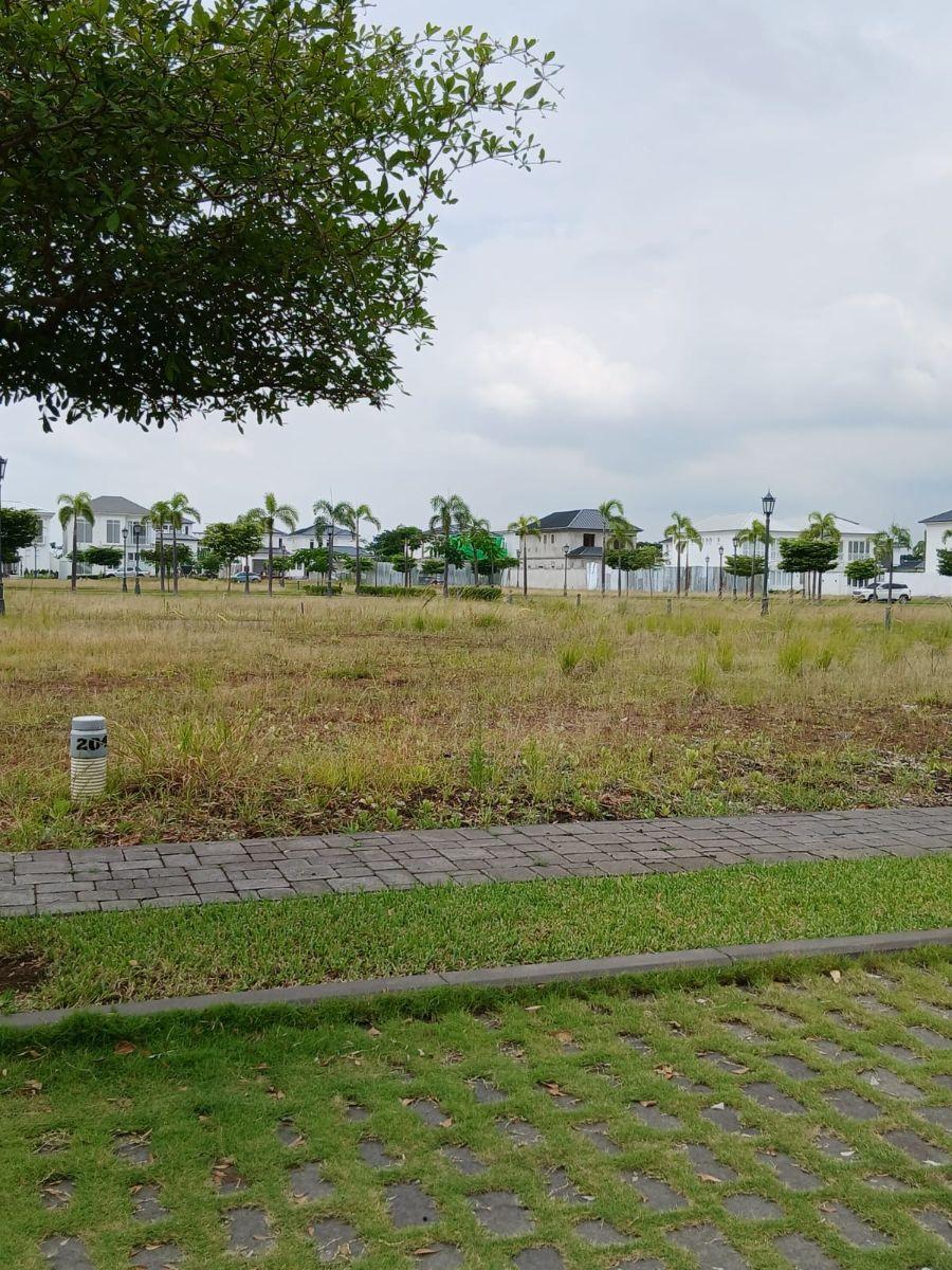 Aires del Norte Lindo Terreno Av Principal, Guayas — imagen 2