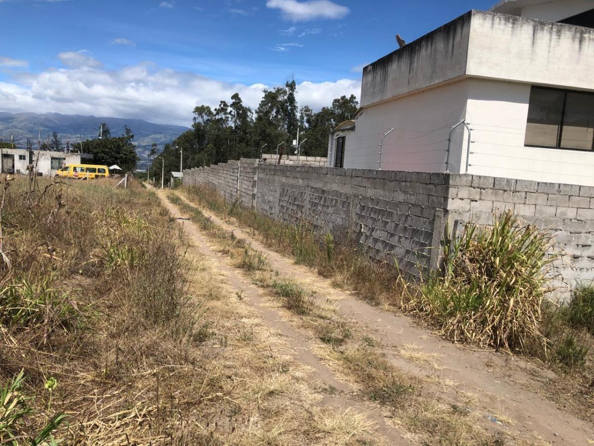 Venta de Terreno Plano en Llano Chico Cocotog — imagen 3