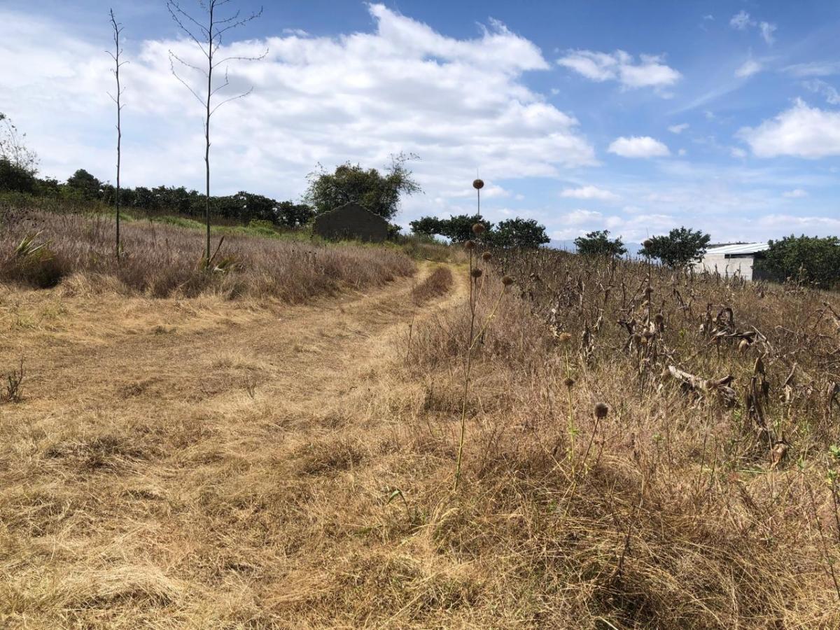 Venta de Terreno Plano en Llano Chico Cocotog — imagen 2