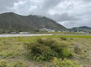 Terreno Industrial de Renta, Sector Hipódromo, Calacalí — imagen 3