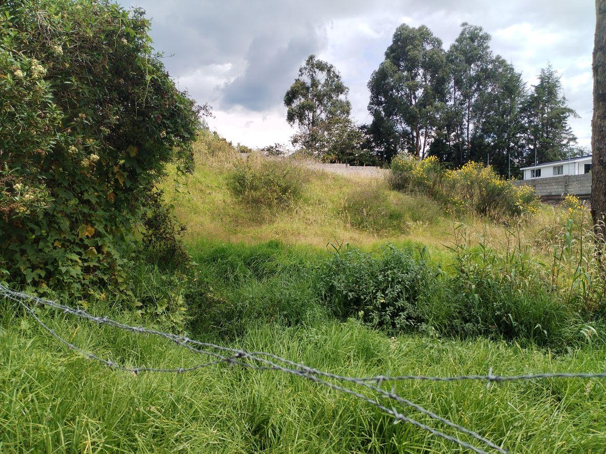 Se Vende Hermoso Terreno Sector Alangasí Valle de Los Chillos — imagen 3
