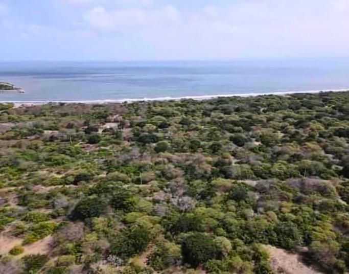 Se Vente Propiedad de 5.000 Has en La Isla Puná - en Venta, Guayas — imagen 6