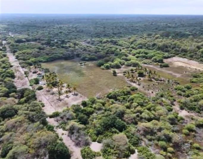 Se Vente Propiedad de 5.000 Has en La Isla Puná - en Venta, Guayas — imagen 2