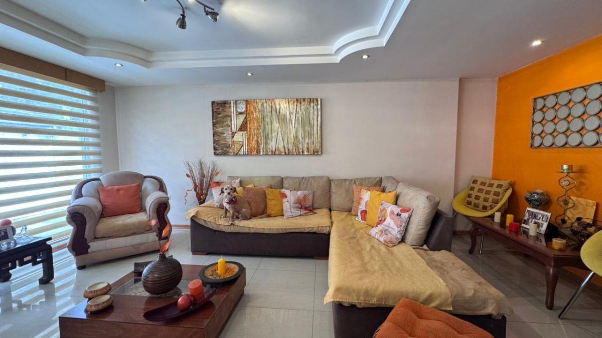 Venta de Casa Amplia – Sector Isaac Albéniz — imagen 10