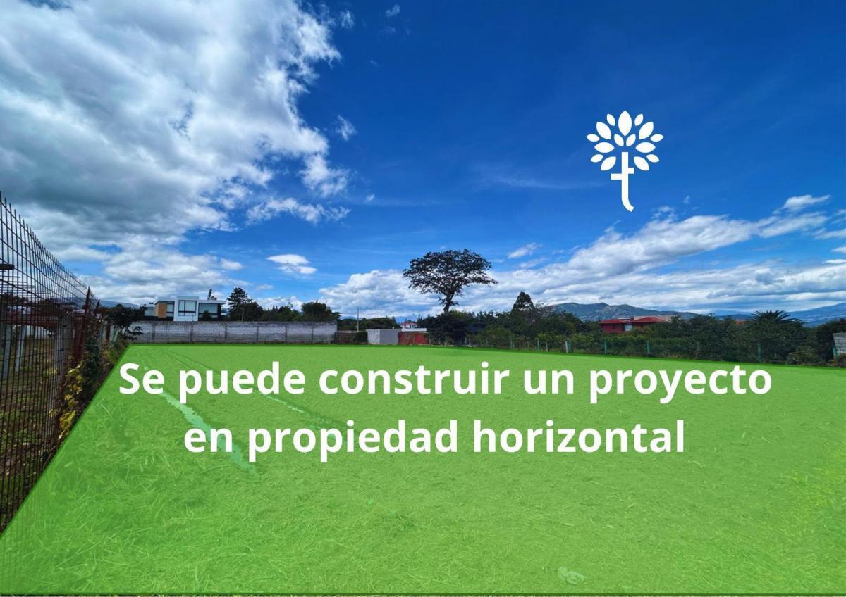 Terreno 1500 m² Urb. Sierra Verde, Puembo Vía Arrayanes — imagen 8