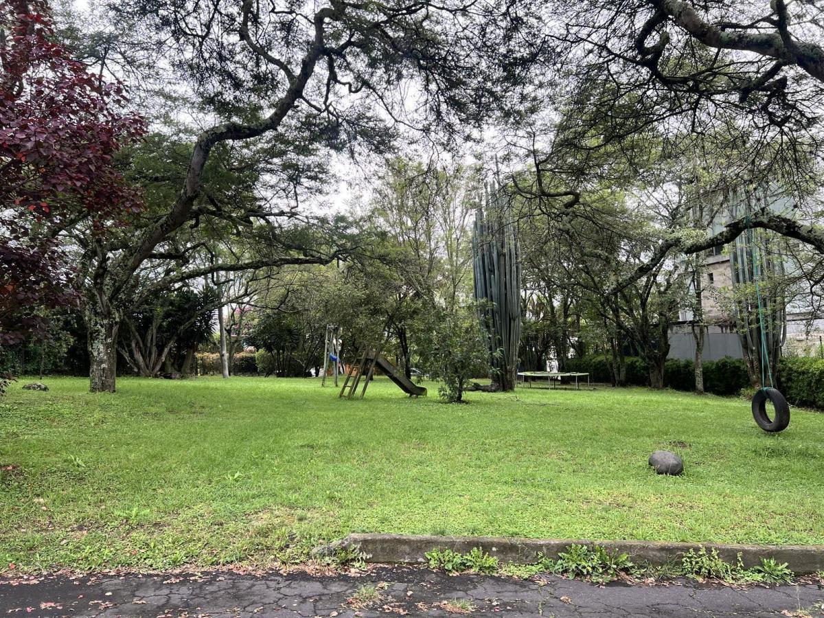 Uno de Los Últimos Terrenos Pequeños Para Construir Edificio Dentro de La Viña — imagen 3