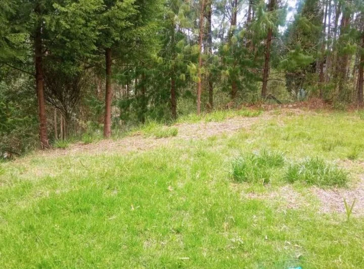Terreno en Venta. Sector y del Cebollar, Azuay — imagen 1
