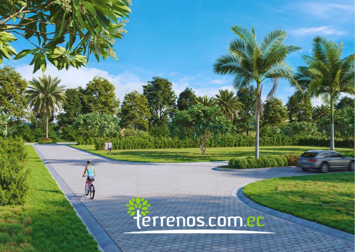 Terrenos en Venta Desde 800 m², Urbanización Surú, Puerto Quito — imagen 9